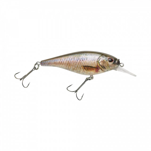 Berkley Fishing Flicker Shad Shallow | 2/7 Oz | 2 3/4in | 7cm | 6 | 3'-6' | 1m-2m | Model #FFSH7S-HDFHM 3 Berkley Fishing Flicker Shad Shallow | 2/7 Oz | 2 3/4in | 7cm | 6 | 3'-6' | 1m-2m | Model #FFSH7S-HDFHM