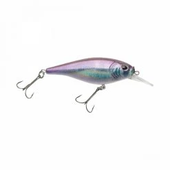 Berkley Fishing Flicker Shad Shallow | 2/7 Oz | 2 3/4in | 7cm | 6 | 3'-6' | 1m-2m | Model #FFSH7S-HDSML