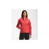 The North Face Women's Class V Pullover