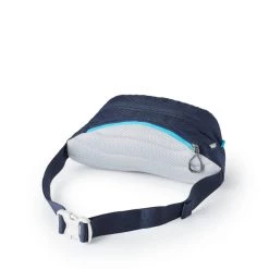 Gregory Nano Waistpack Day Packs