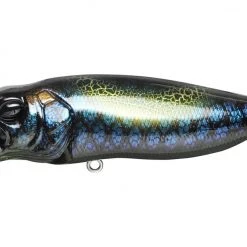 Fishing Megabass Popmax
