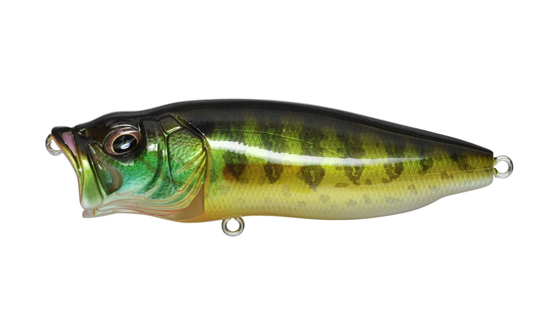 Fishing Megabass Popmax 7 Fishing Megabass Popmax